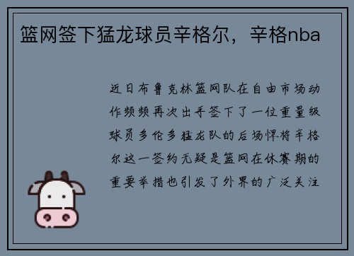篮网签下猛龙球员辛格尔，辛格nba