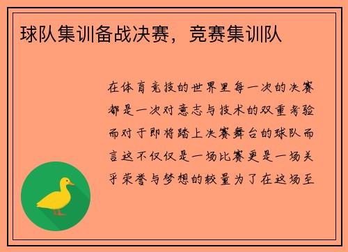 球队集训备战决赛，竞赛集训队