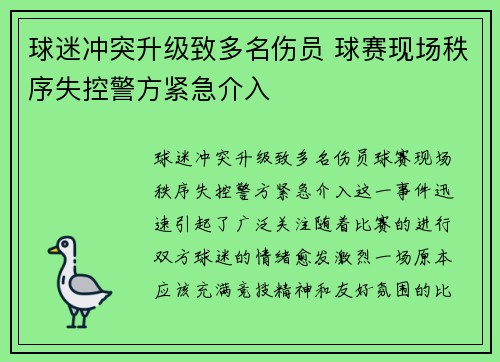 球迷冲突升级致多名伤员 球赛现场秩序失控警方紧急介入